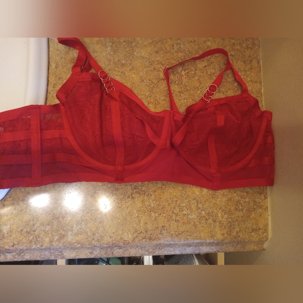 Torrid bra